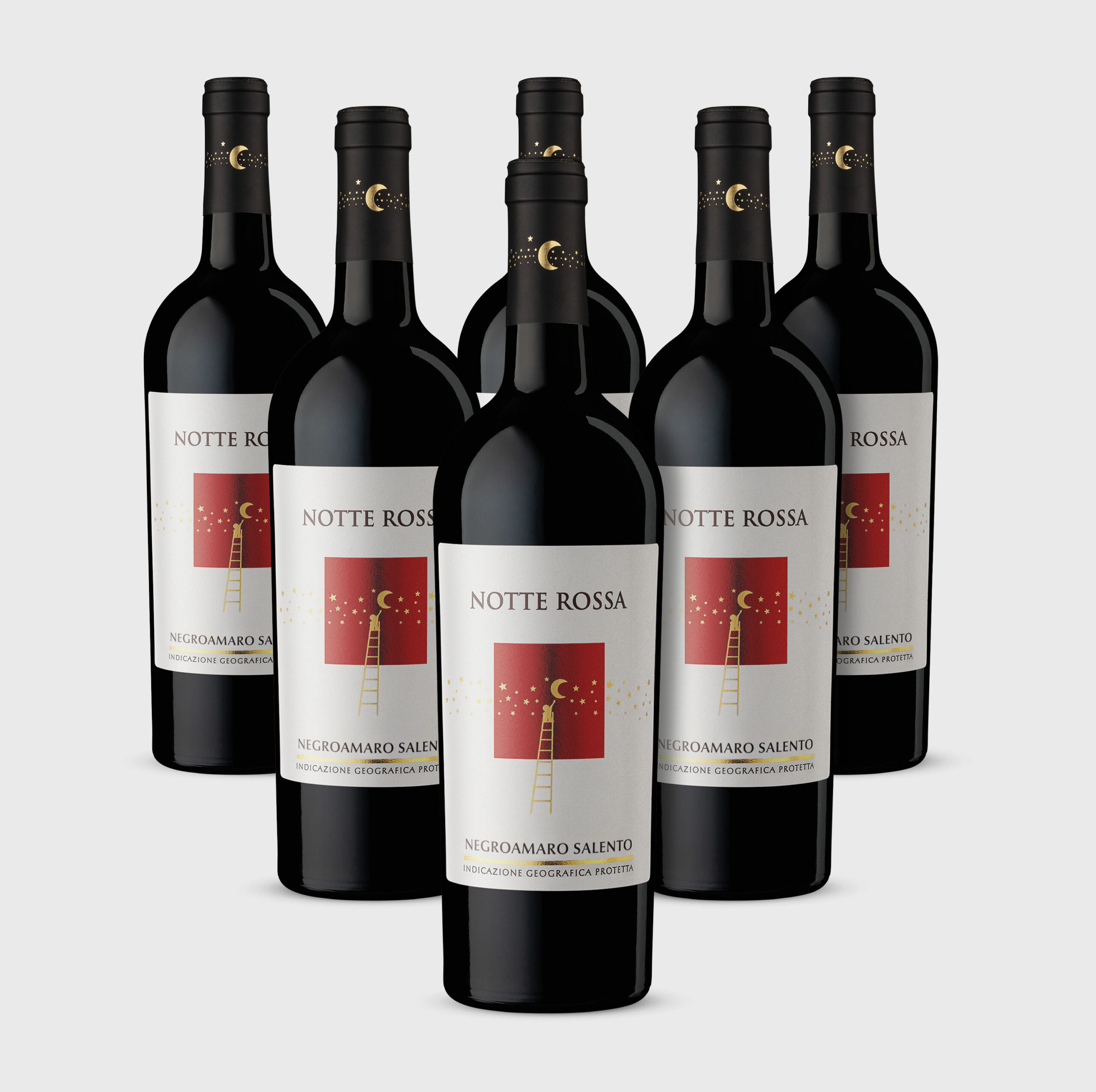 Negroamaro Salento IGP Box da 6 bottiglie