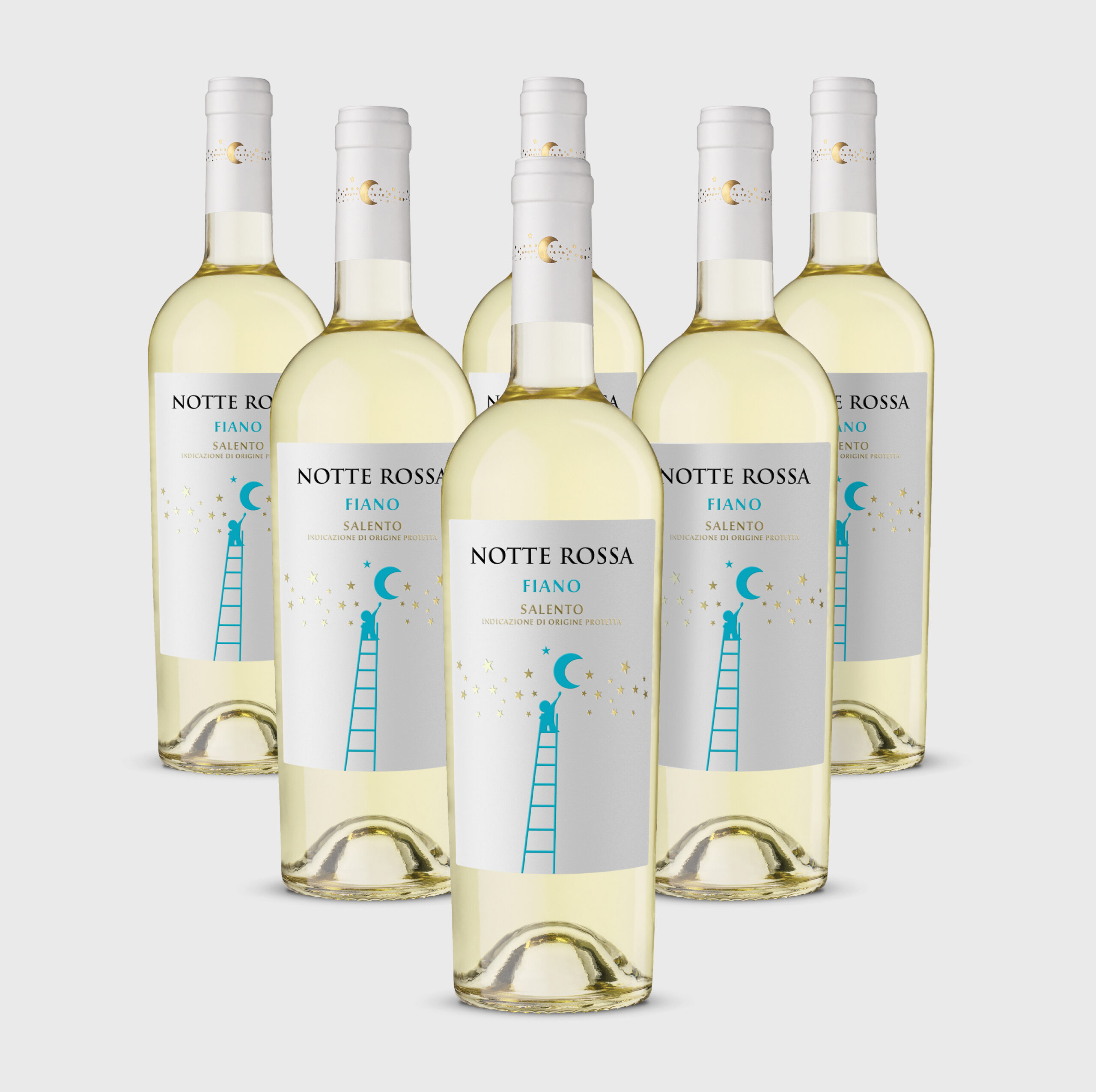 Fiano Salento IGP Box da 6 bottiglie