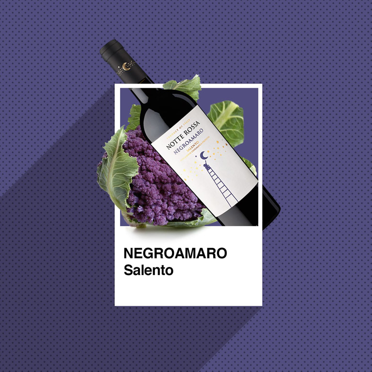 notterossa-negroamaro-salento